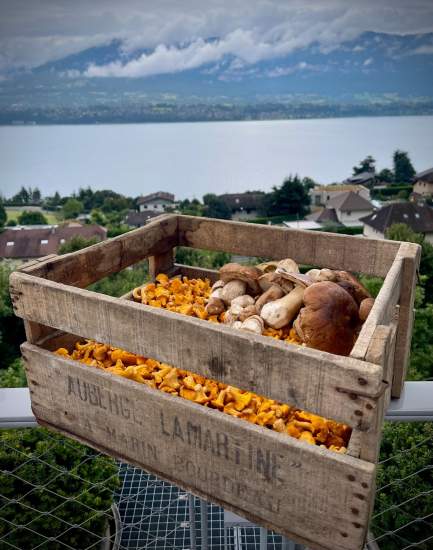 Restaurant Bord du Lac du Bourget · Menus ·Lamartine